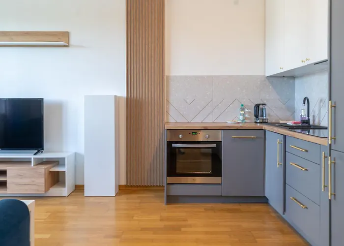 Modern Oasis By Bookinghost Κατοβίτσε